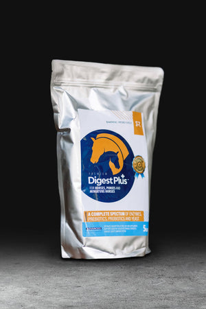 Digest Plus — vet-designed digestive support powder for horses
